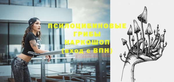 шишки Саяногорск