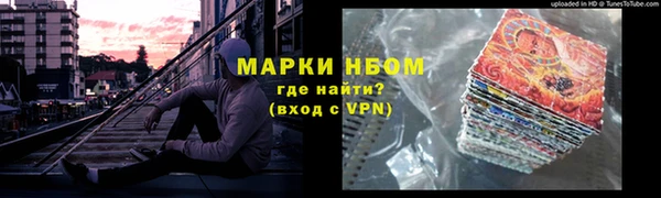 шишки Саяногорск
