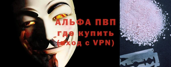 шишки Саяногорск