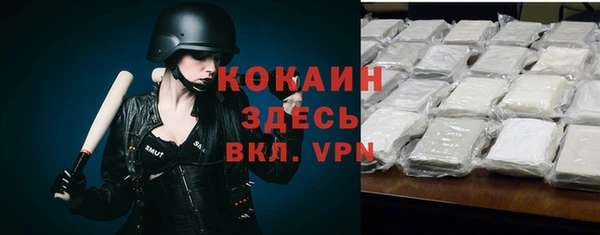 шишки Саяногорск