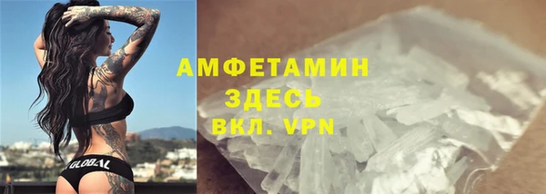 шишки Саяногорск