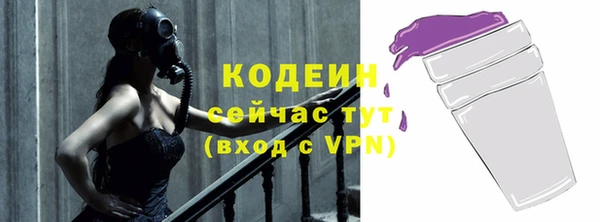 шишки Саяногорск