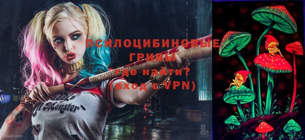 шишки Саяногорск