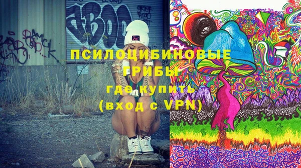 шишки Саяногорск