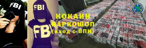 шишки Саяногорск