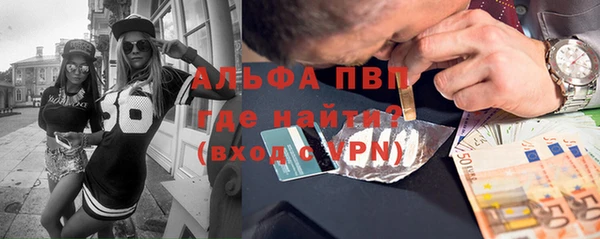 шишки Саяногорск