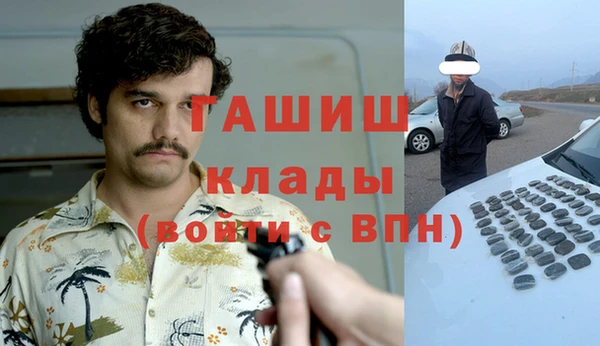 шишки Саяногорск