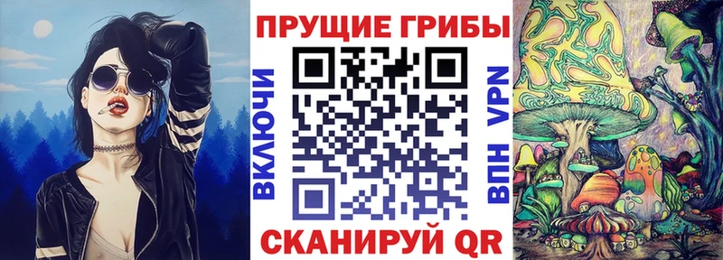 Галлюциногенные грибы ЛСД  Купить закладки  Светлогорск 